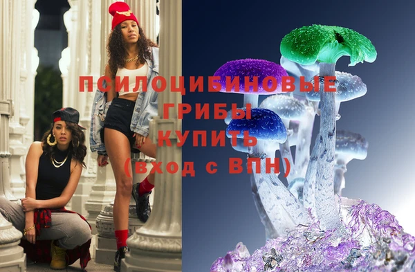 стаф Беломорск