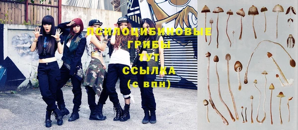 стаф Беломорск
