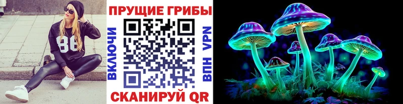 Галлюциногенные грибы мицелий  Купить где  Ливны 